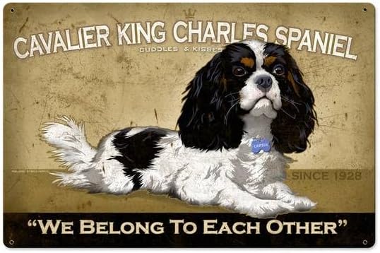 Home Decor Shop - Retro metalen blikken bord Cavalier King
