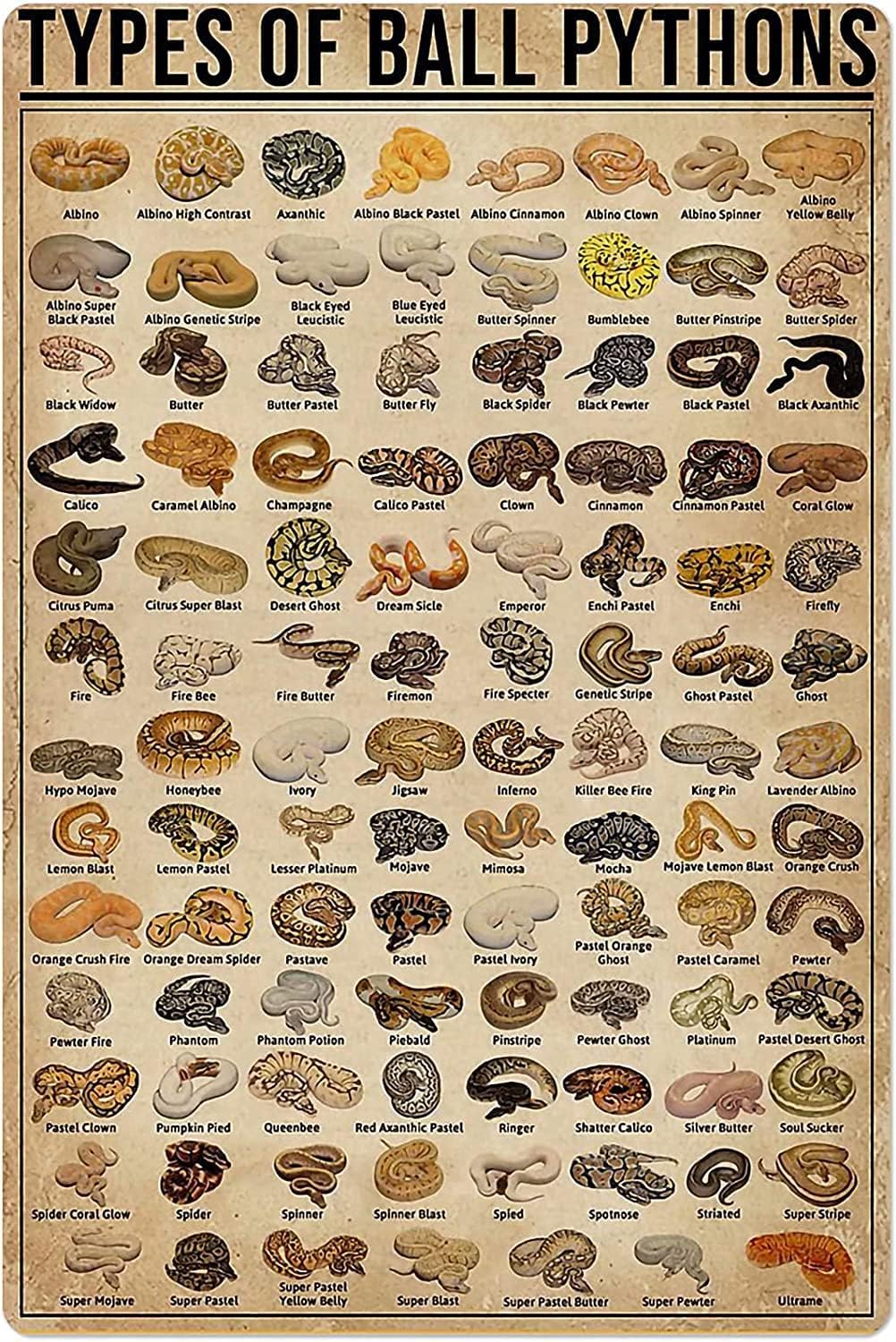 Home Decor Shop - Retro metalen blikken bord soorten balpythons