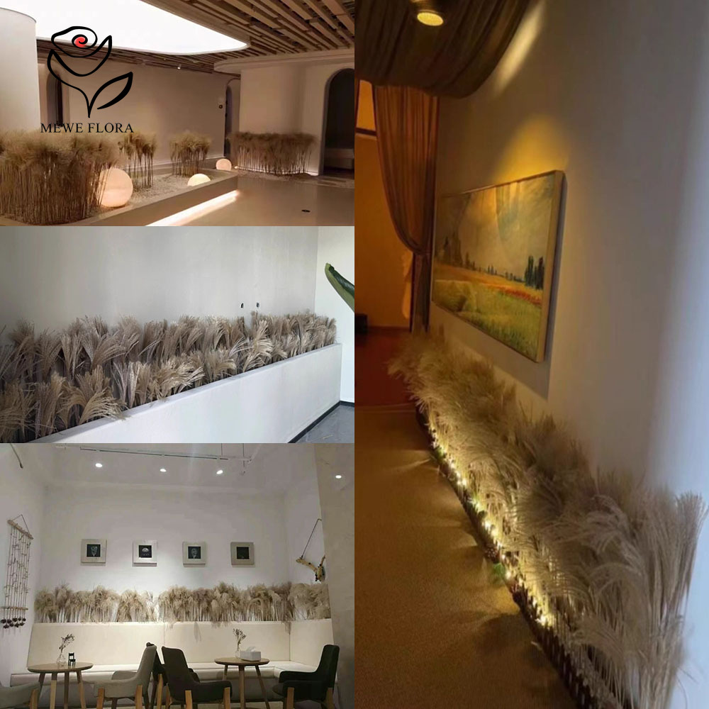 200 STKS Natuurlijke Gedroogde - Home Decor Shop recensie en prijs